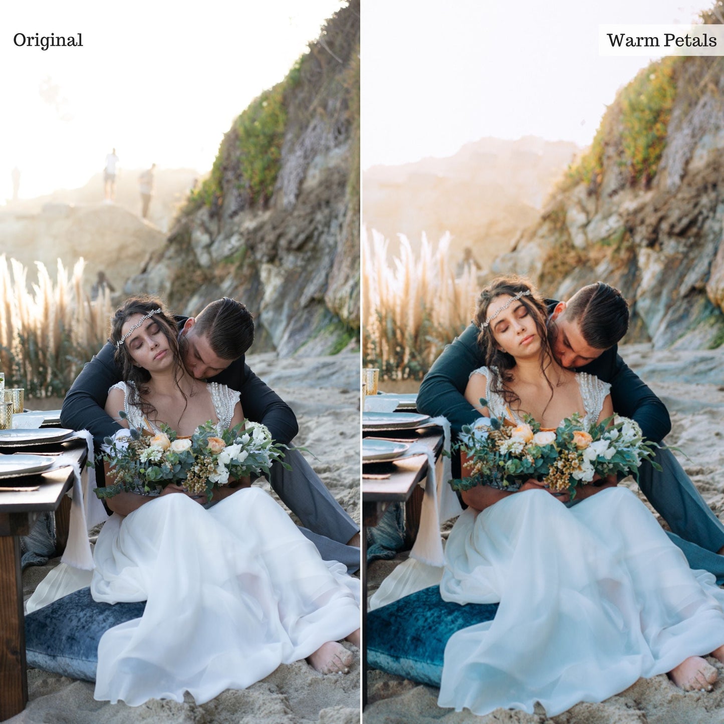 Warm Petals - Single Color Palette Lightroom Presets & AI Tools