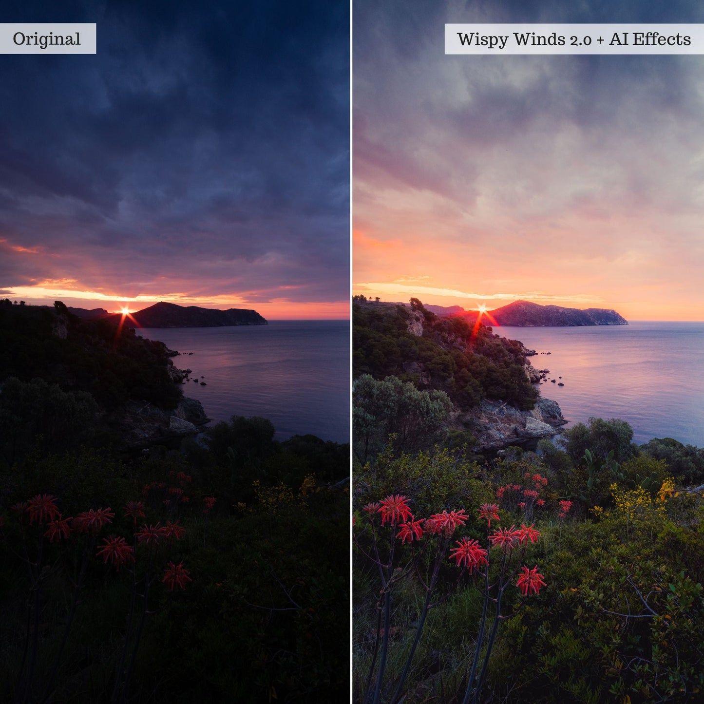 Elements - Landscapes & Wildlife 2.0 Lightroom Presets & AI Powered Tools – Desktop & Mobile