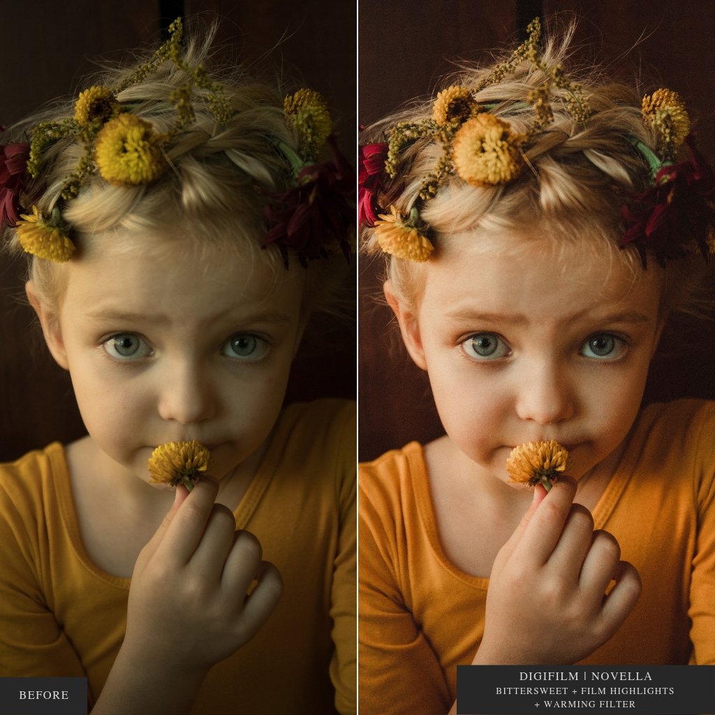 ColorMade Lightroom Preset Bundle (19 collections)