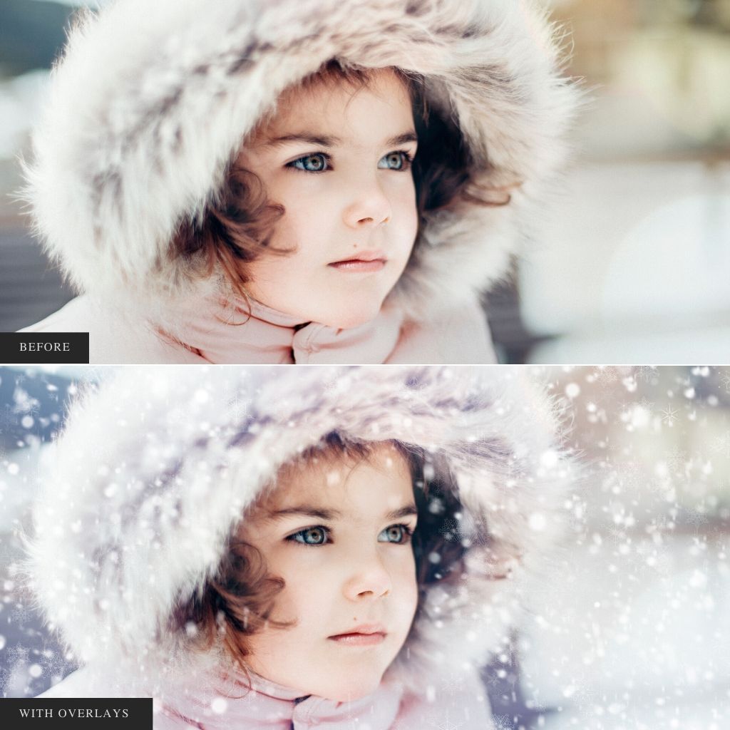 ColorMade Lightroom Preset Bundle (19 collections)