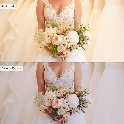 Warm Petals -  Single Color Palette Lightroom Presets & AI Tools
