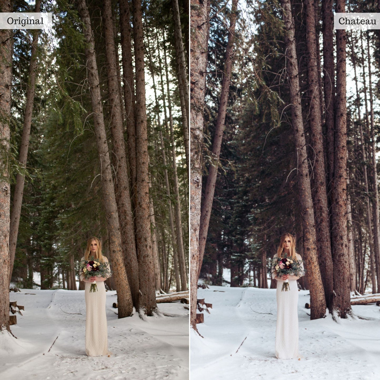 Chateau - Single Color Palette Lightroom Presets & AI Tools
