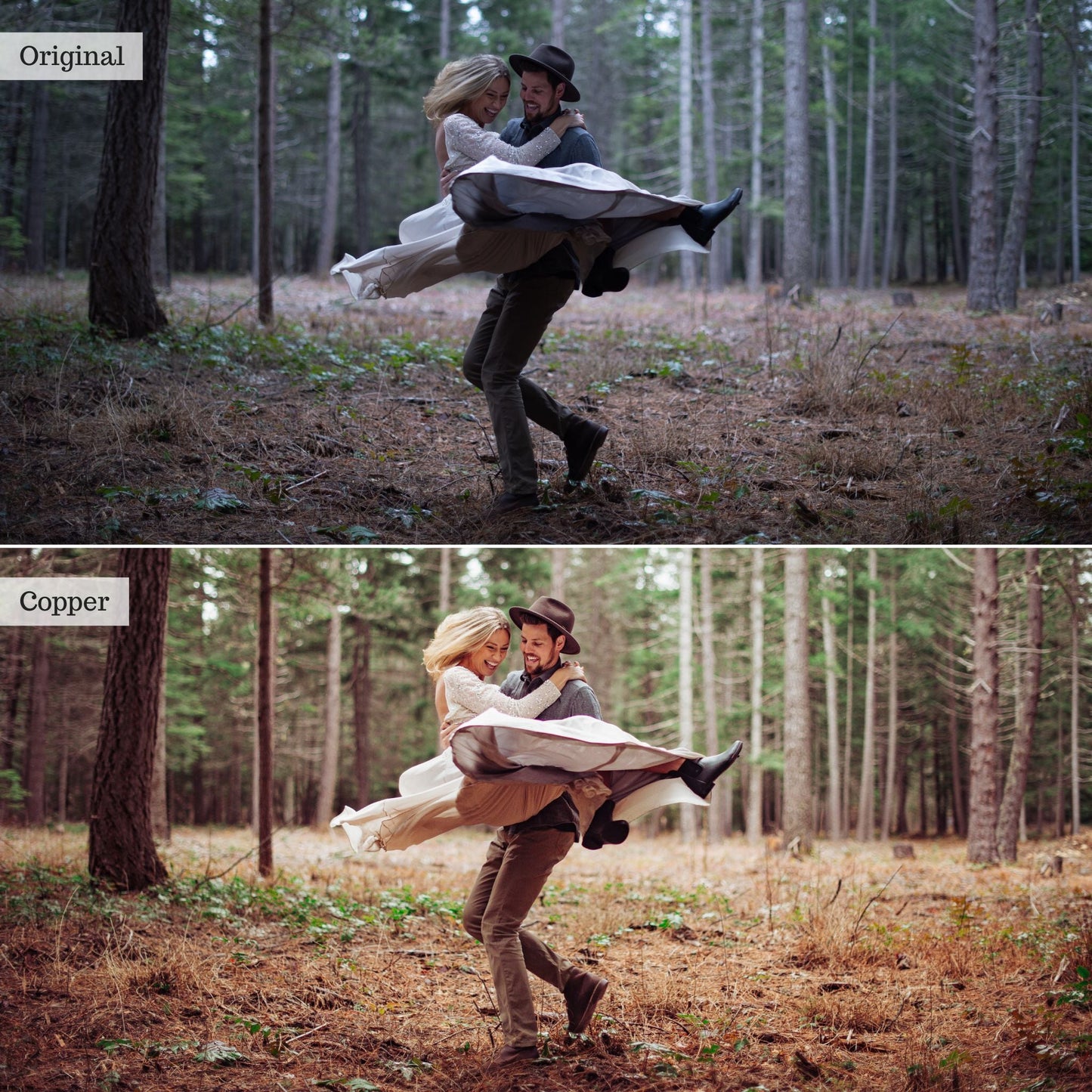 Copper -  Single Color Palette Lightroom Presets & AI Tools