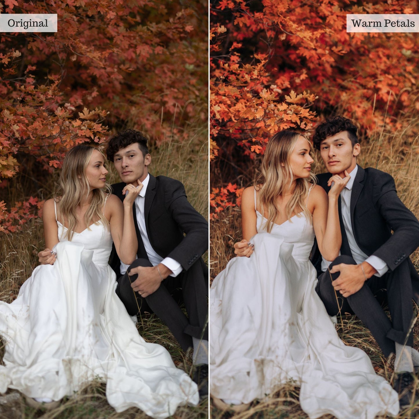 Warm Petals -  Single Color Palette Lightroom Presets & AI Tools