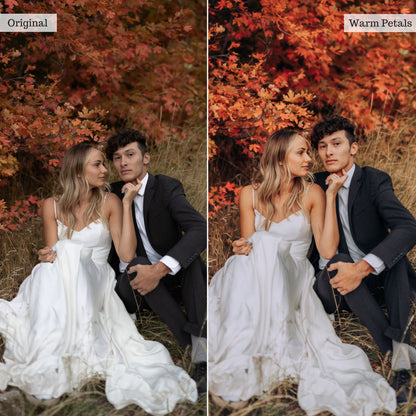 Warm Petals -  Single Color Palette Lightroom Presets & AI Tools