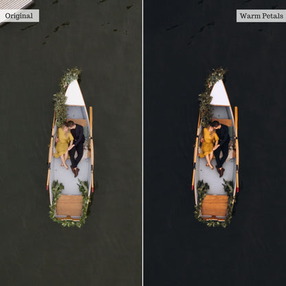 Warm Petals -  Single Color Palette Lightroom Presets & AI Tools