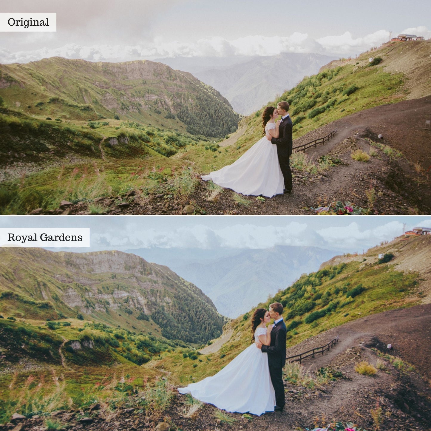 Royal Gardens -  Single Color Palette Lightroom Presets & AI Tools