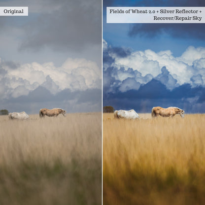 Wanderlust v2.0 Lightroom Presets & AI Tools – Desktop & Mobile
