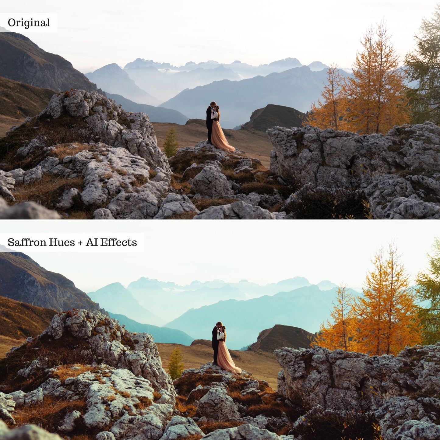 ColorMade Lightroom Preset Bundle (19 collections)
