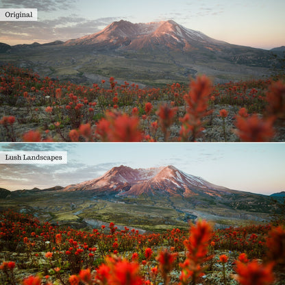 Lush Landscapes Instagram Presets for Lightroom Mobile & Desktop