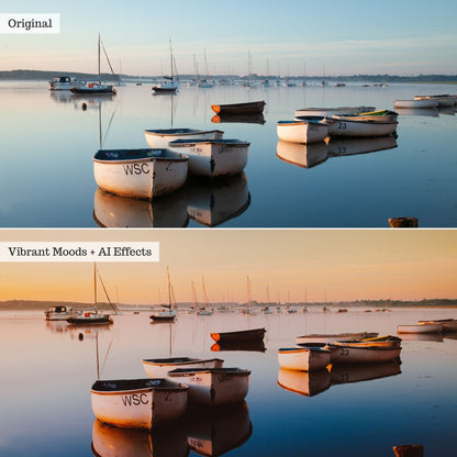 Elements - Landscapes & Wildlife 2.0 Lightroom Presets & AI Powered Tools – Desktop & Mobile
