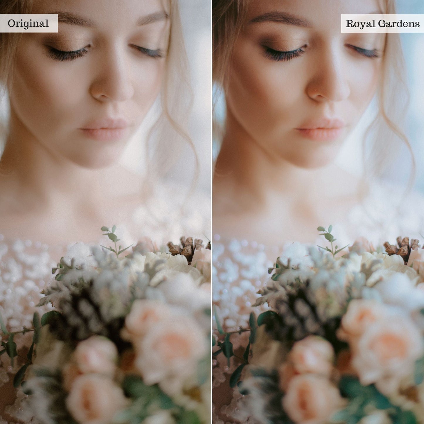 Royal Gardens -  Single Color Palette Lightroom Presets & AI Tools