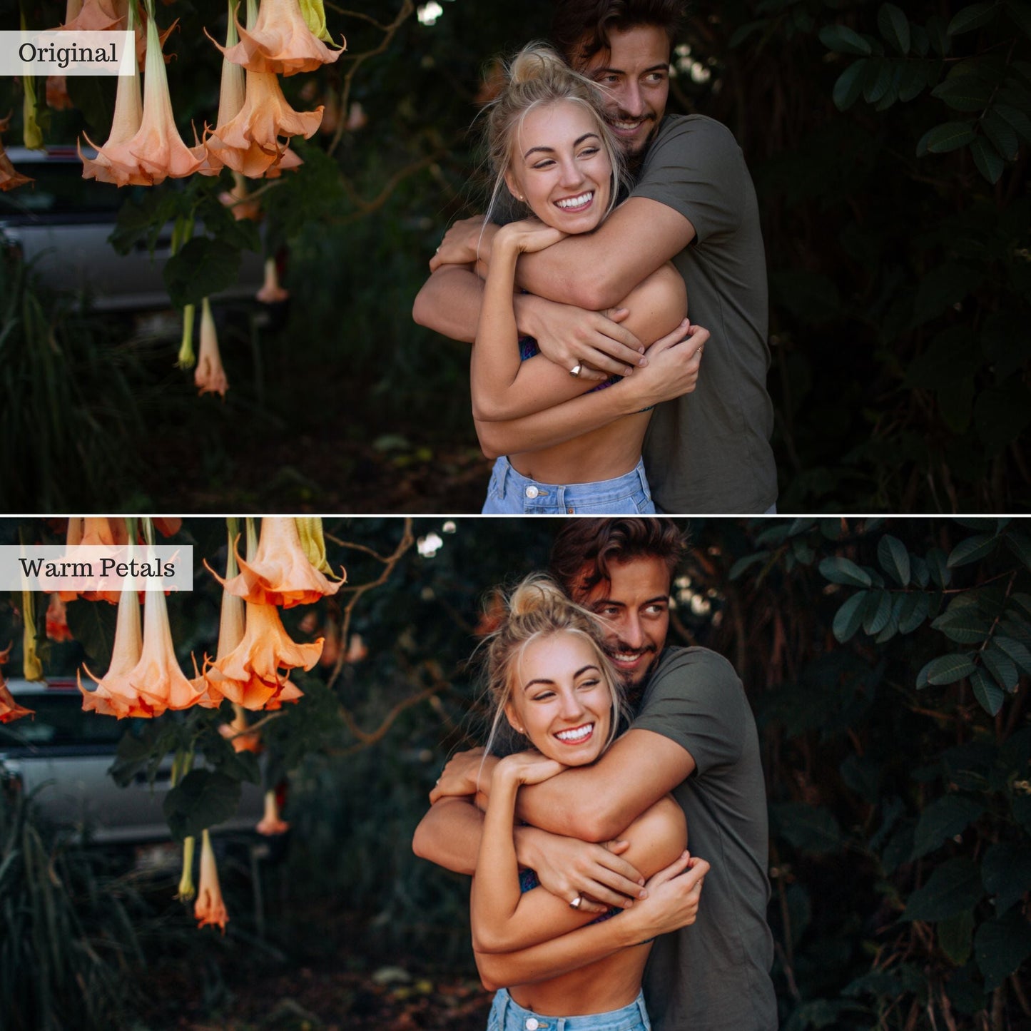 Warm Petals -  Single Color Palette Lightroom Presets & AI Tools