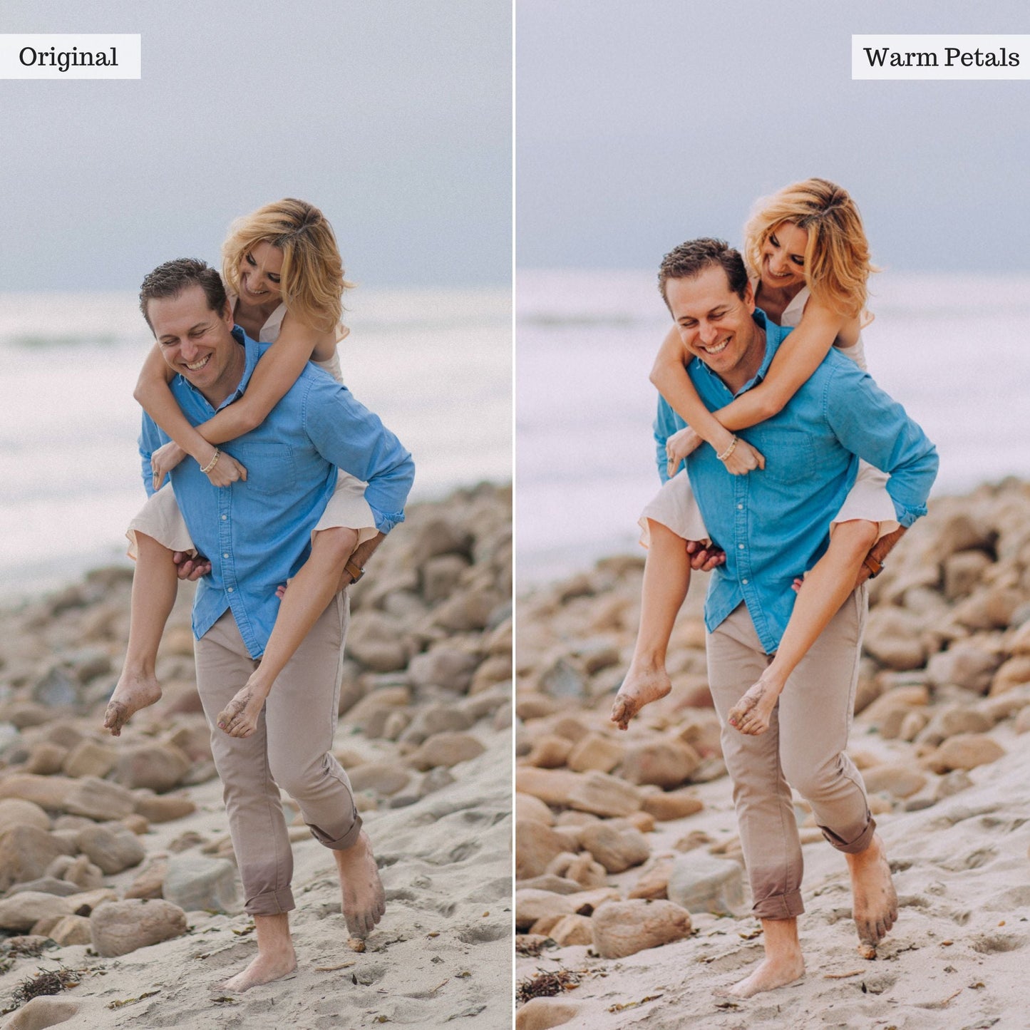 Warm Petals -  Single Color Palette Lightroom Presets & AI Tools