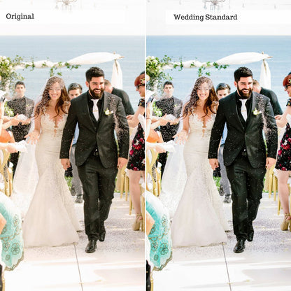 Portraits and Weddings Preset Bundle (14 collections) for Lightroom & Photoshop